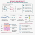 eleonora rosati cosmetici_acido ialuronico img ai